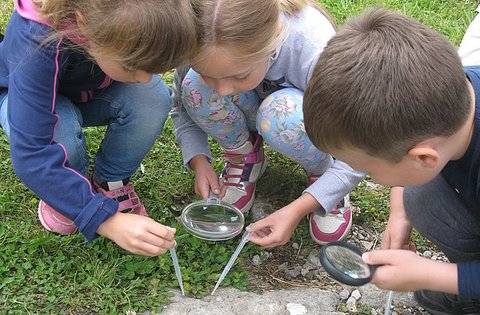 Buzetski mališani učili o zaštiti vode na kršu
